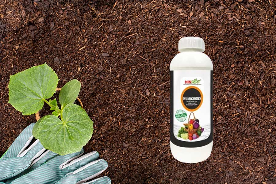 Organic Products