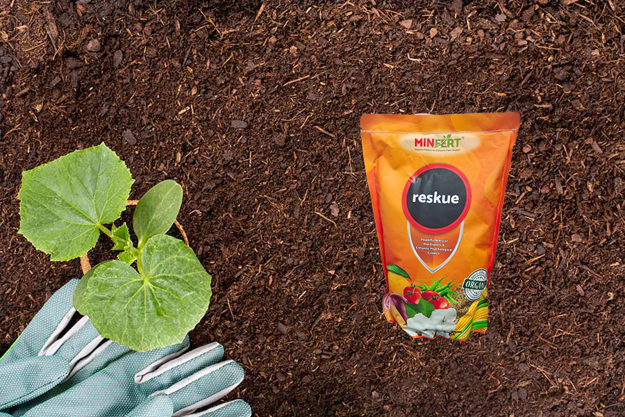 Organic Products