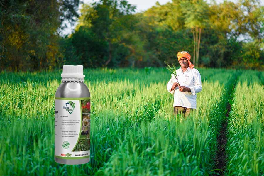 Organic Products